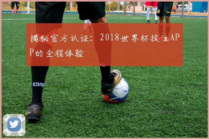 揭秘官方认证：2018世界杯投注APP的全程体验