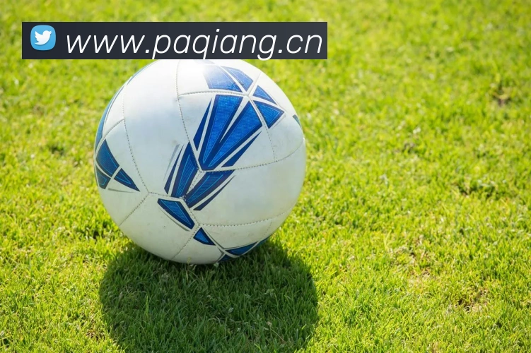 湖南卫视昨日节目单：热门体育赛事直播与精彩集锦全追踪